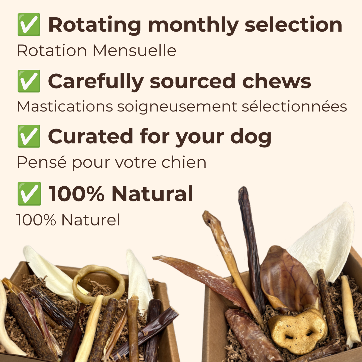 ChewMenu Puppy Box