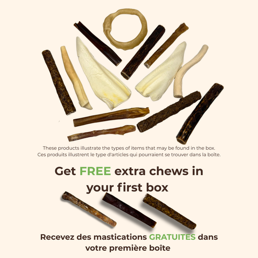 ChewMenu Small Dog Box