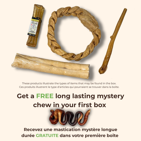 ChewMenu Super Chewer Box