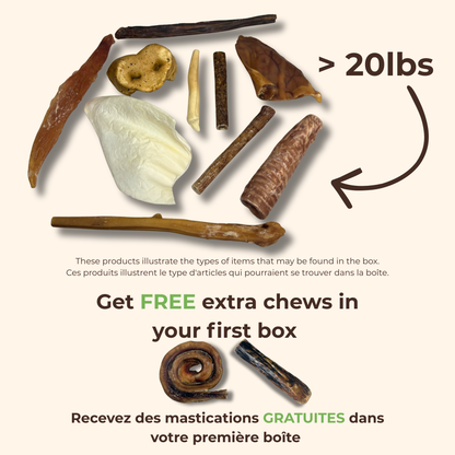 Boîte Chiot ChewMenu