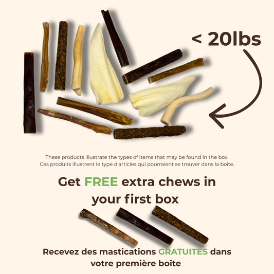 ChewMenu Puppy Box