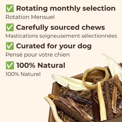 ChewMenu Small Dog Box
