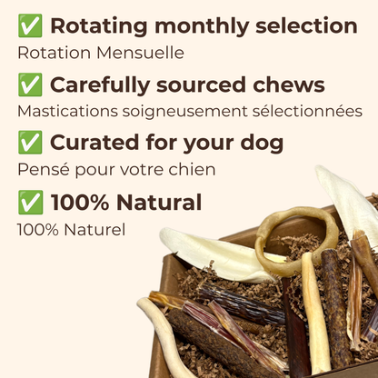 ChewMenu Small Dog Box
