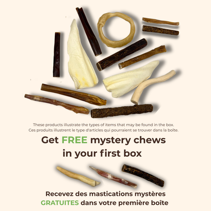 ChewMenu Puppy/Small Dog Box