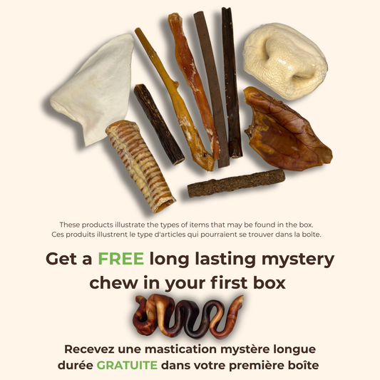 ChewMenu Box