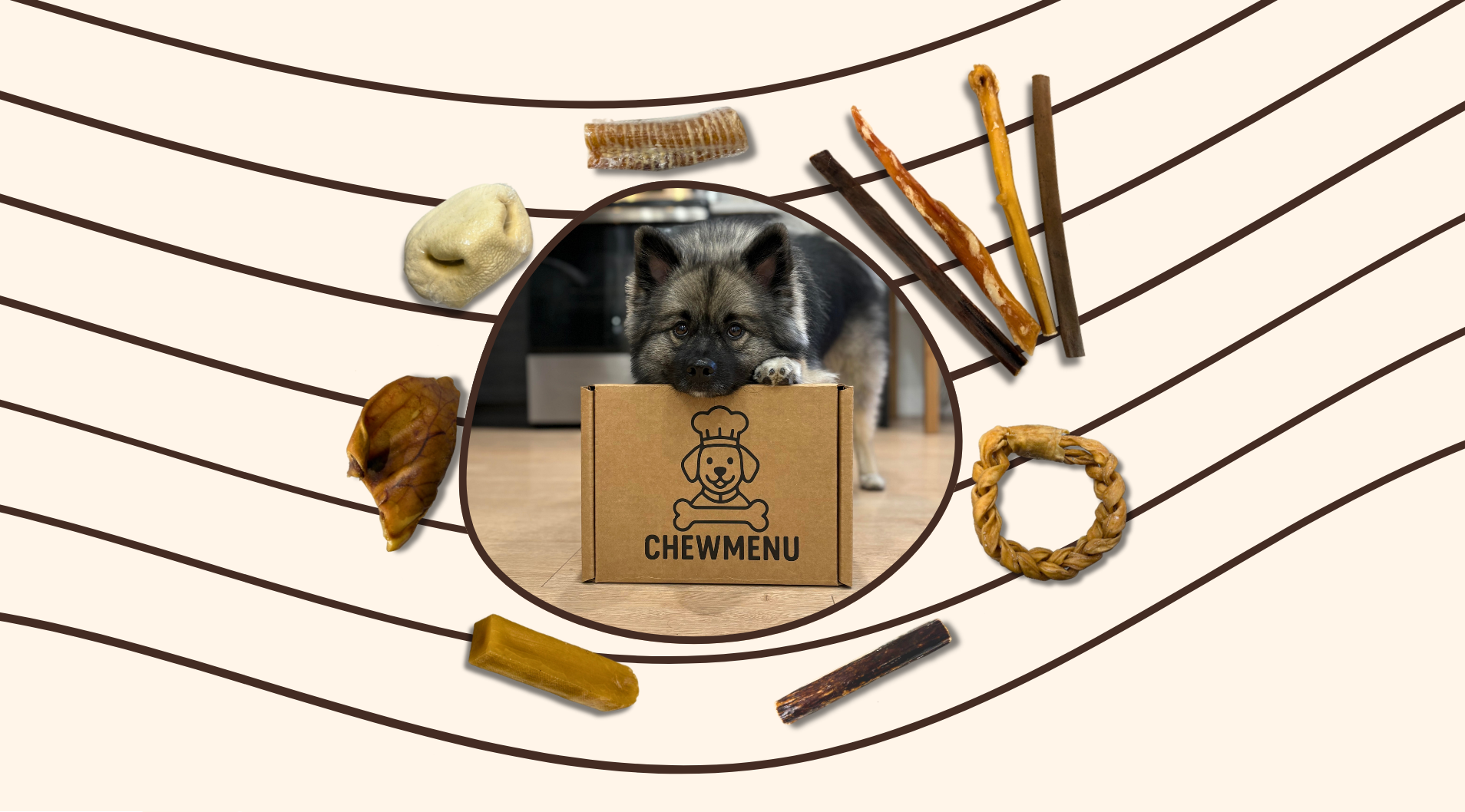 dog chew subscription box