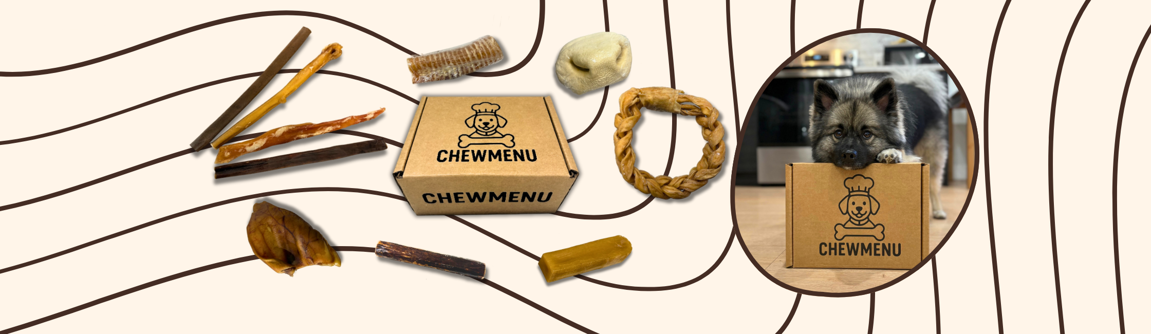 Dog chew subcription box 