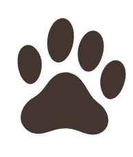 Dog approved